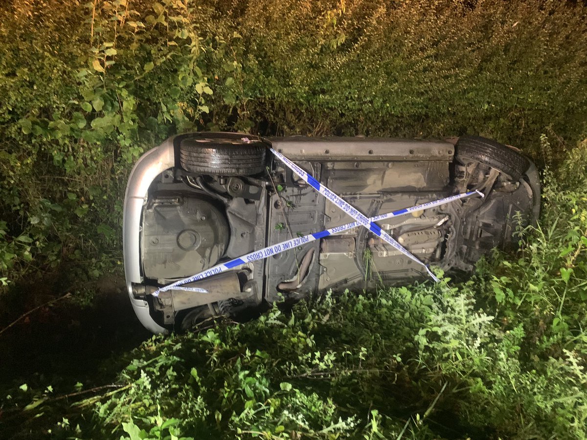 Maddison Hawkins tweet media