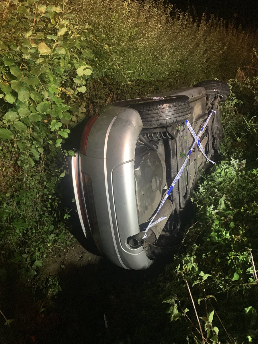 Maddison Hawkins tweet media