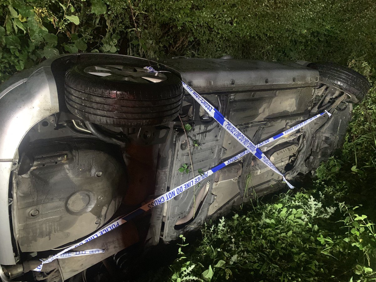 Maddison Hawkins tweet media