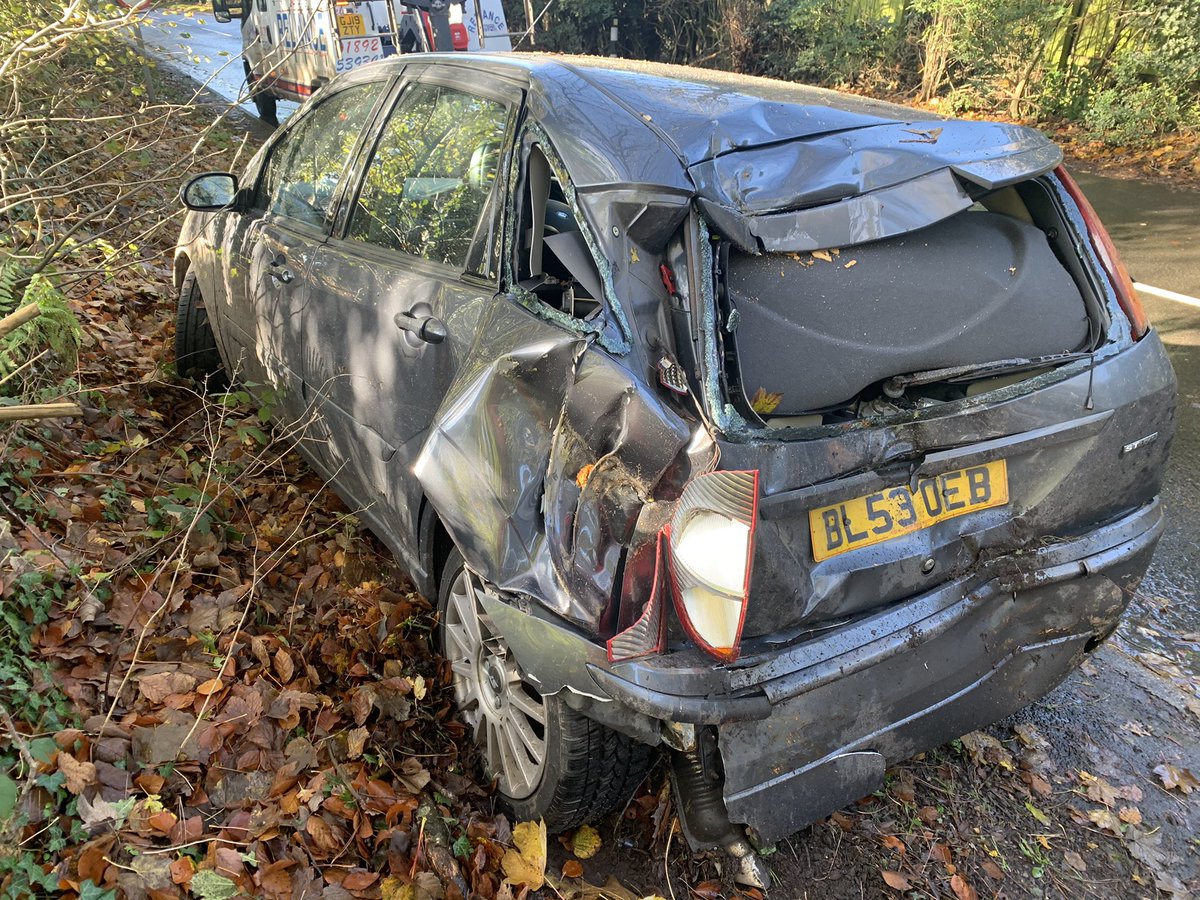 Maddison Hawkins tweet media