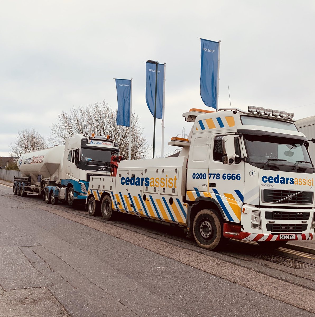 Maddison Hawkins tweet media