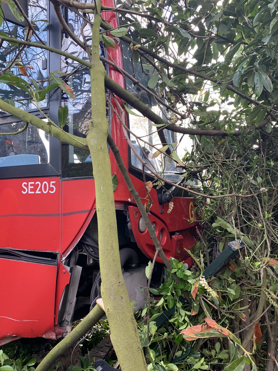 Maddison Hawkins tweet media