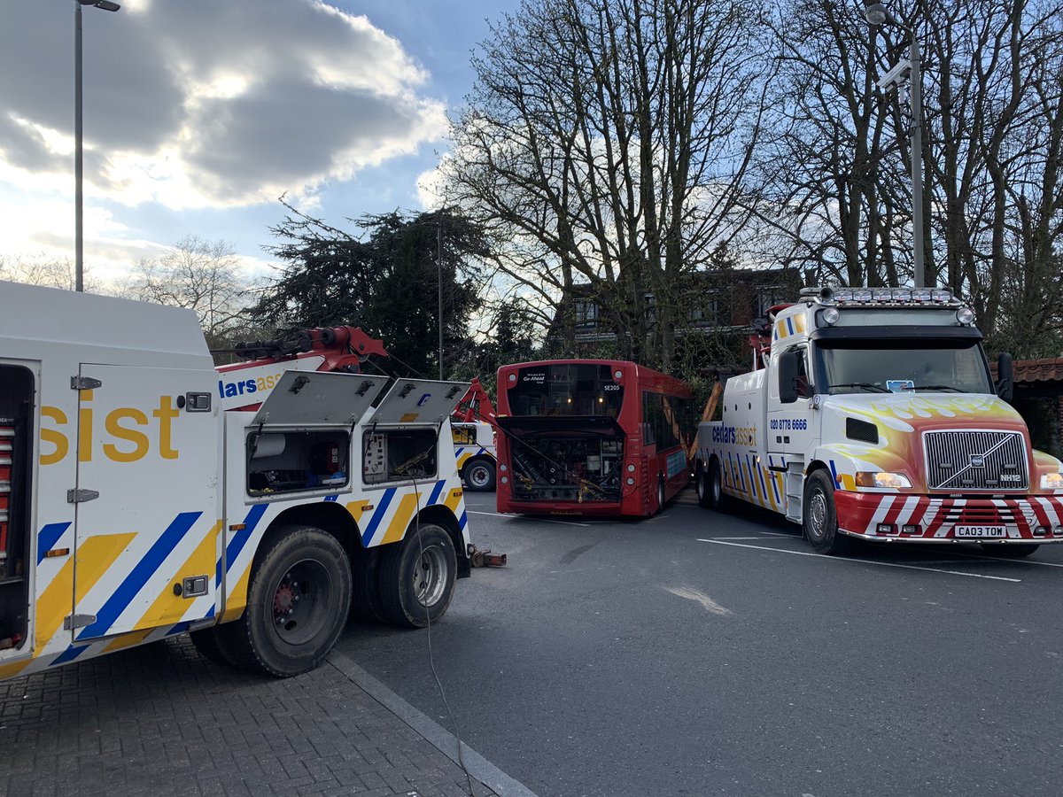 Maddison Hawkins tweet media