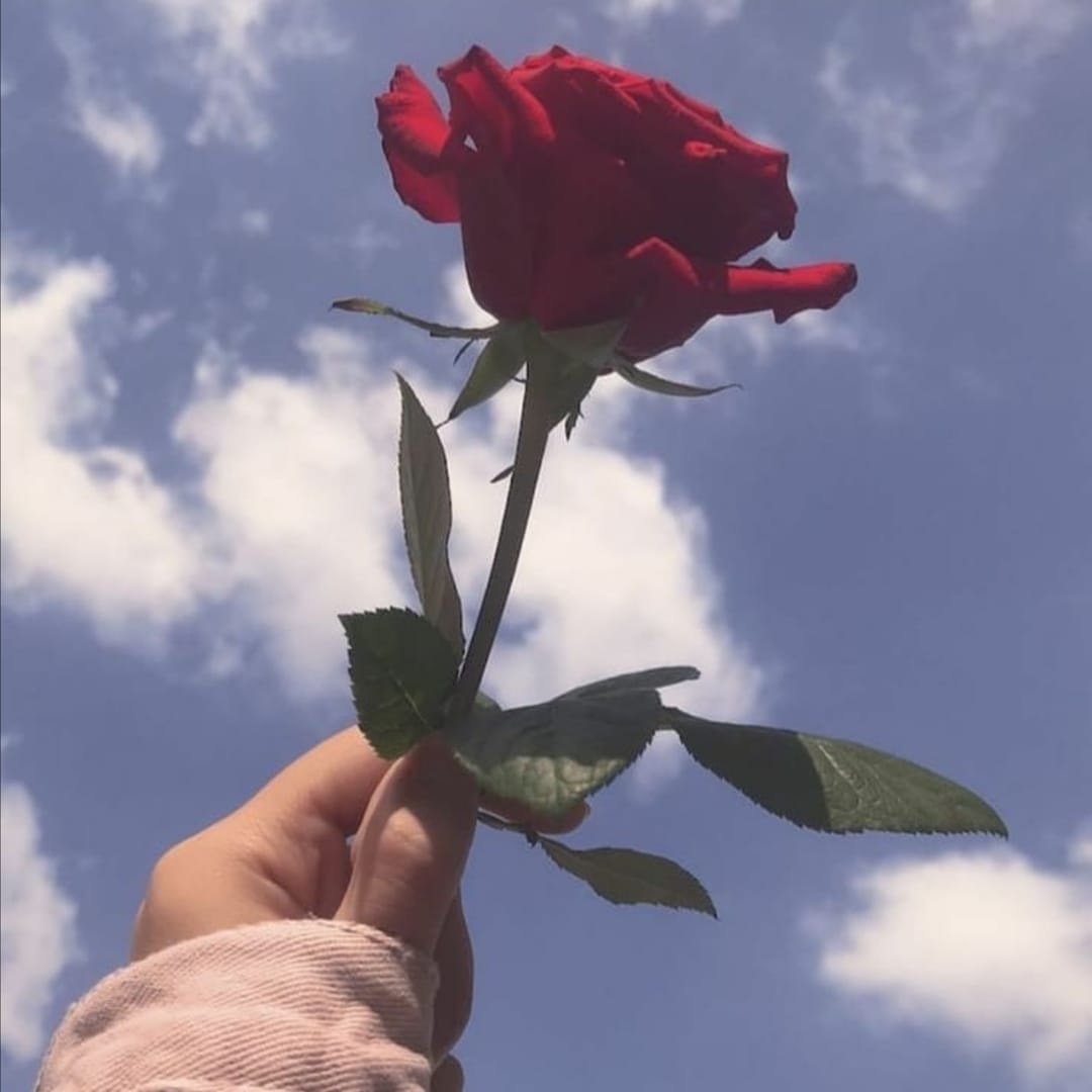 93_balam's tweet photo. #NuevaFotoDePerfil https://t.co/ZaOPK1cu9i