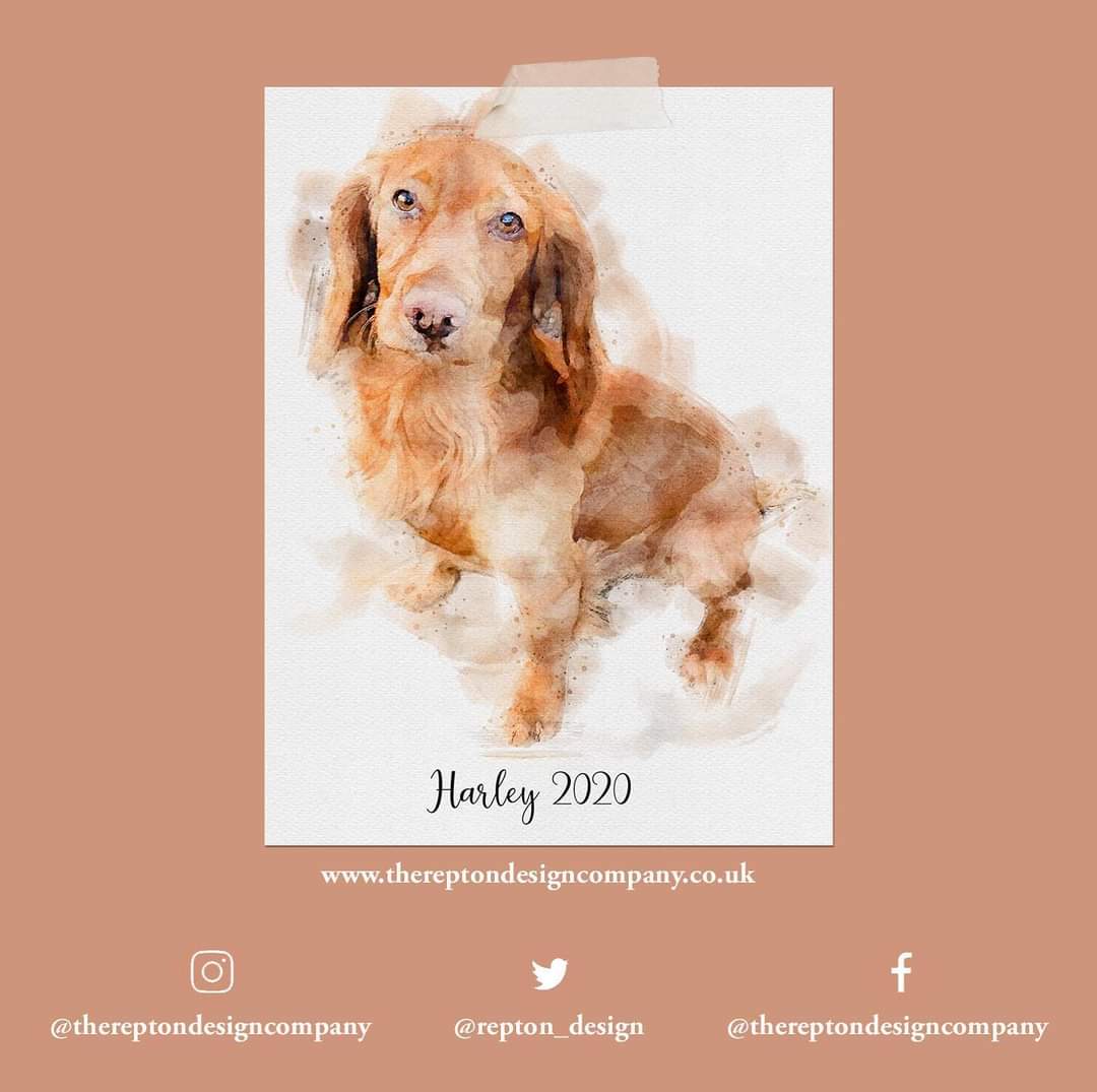 repton_design's tweet image. Sending love to you all during this lockdown ❤️. Here’s the beautiful Harley 😍 thank you SO much for keeping your orders coming in I expected January to be really quiet so it really means a lot 🥰
.
.
.
.
#cockerspaniel #cockerspanielsofig #cocker