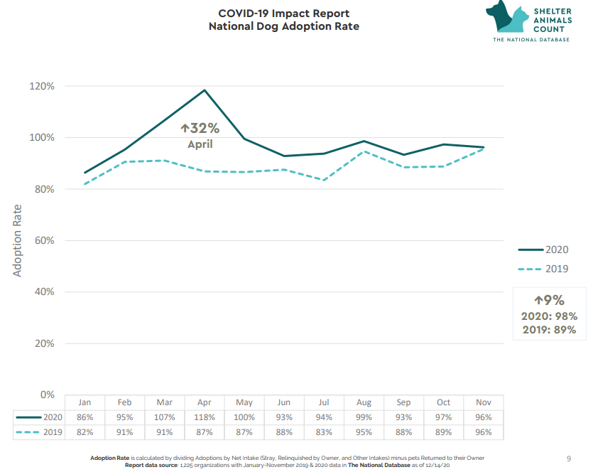 herzoghal's tweet photo. Dog adoptions were up 32% in April but were back to 2019 levels by November. https://t.co/llz5utvWKx https://t.co/wLWpBktVoc
