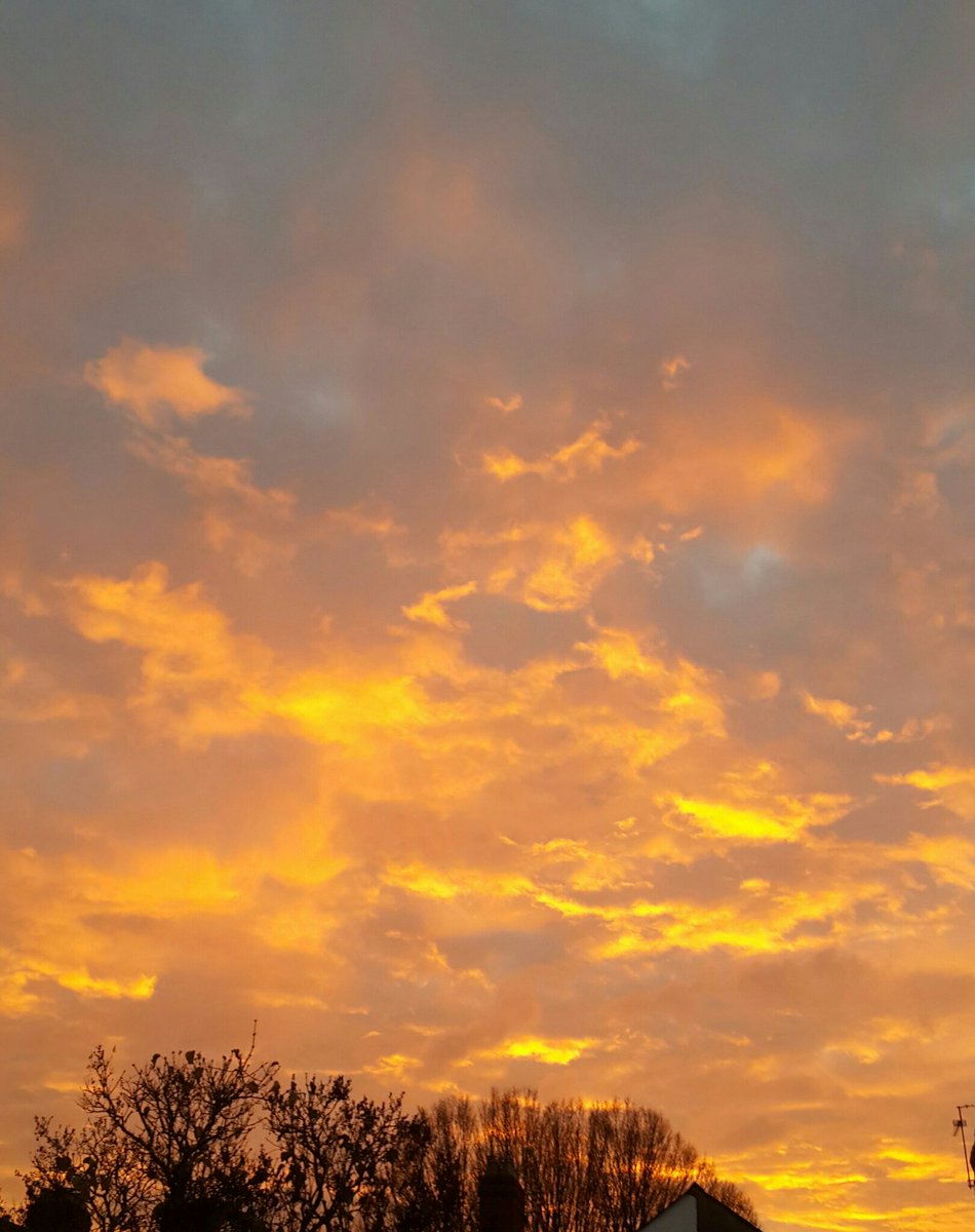 Dimple ©™ tweet media