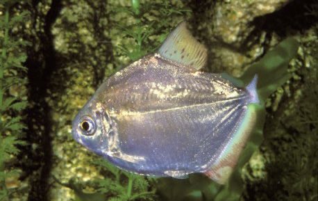 Sarah Paulson as fishes a thread ;