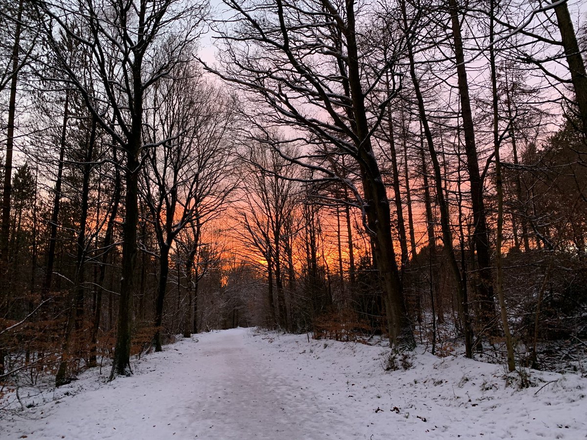 Kathryn Burn tweet media