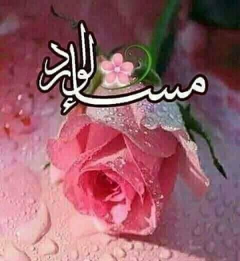 mezo4u's tweet photo. https://t.co/gqNaiThbI8