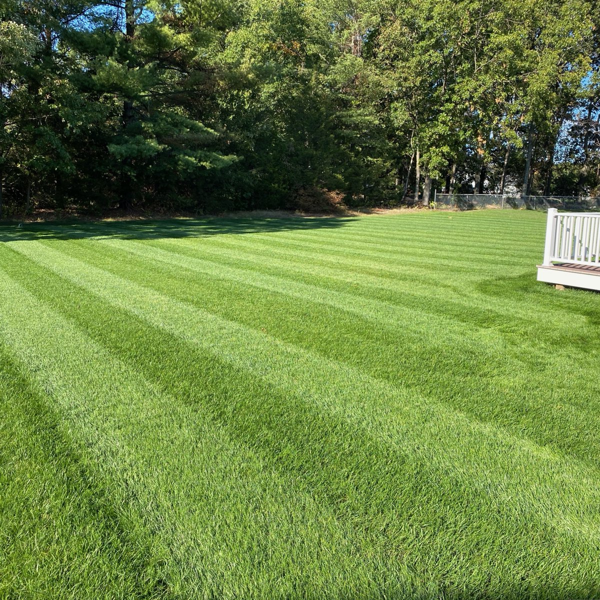 yardmastery's tweet photo. Jason's lawn is pleasing to the eye and it probably feels even better on your bare feet. Who's ready for some #barefoot walking in the lawn this year?
.
Be inspired by other DIYers. #DIYfirst
.
#yardmastery #lawncare #lawncarenut #greengrass #greenlawns #lawns #lawnstripes https://t.co/tF5u0N6Bdd