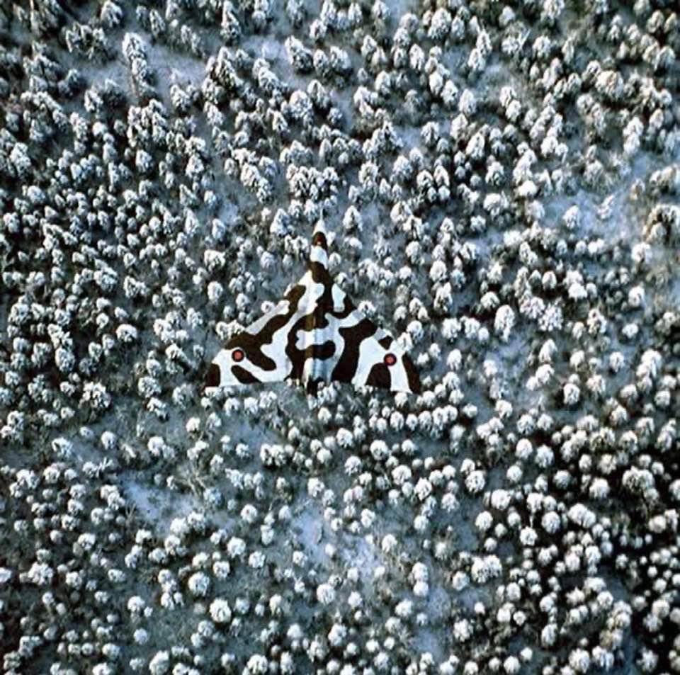 RitaGamer's tweet photo. This photo of a vulcan always tries very hard to trigger my Lepidopterophobia! 😬🥴 https://t.co/7D89aMkaP2