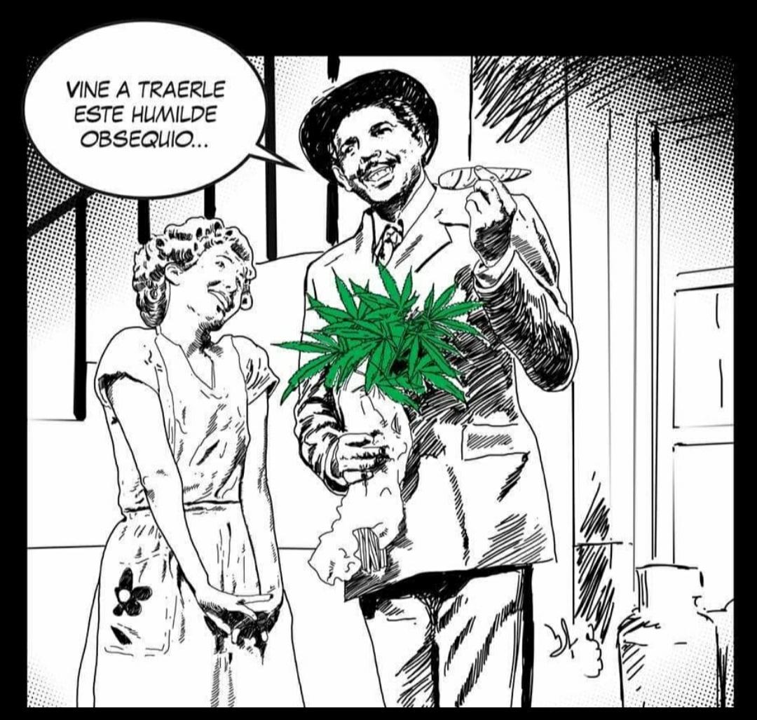 MariaPorra11's tweet photo. Un don ramon para mi vida 💛 🍃🔥 https://t.co/Qh2vxkKIXz