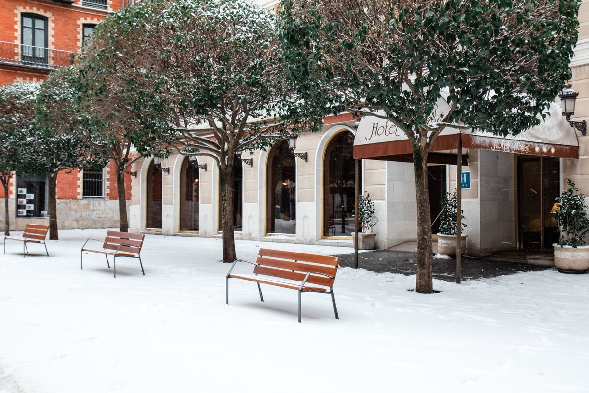 Pues al final #Filomena nos trajo la nieve... 🥶❄️