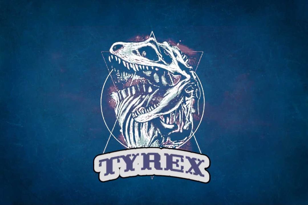 TyreX Team tweet media