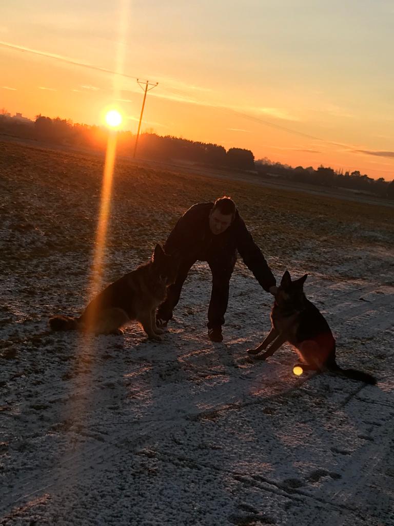 envirokids's tweet photo. Lovely walk on the Curragh with the girls  #GermanShepherd #thecurragh #winterwalks https://t.co/YDX8a90HjI