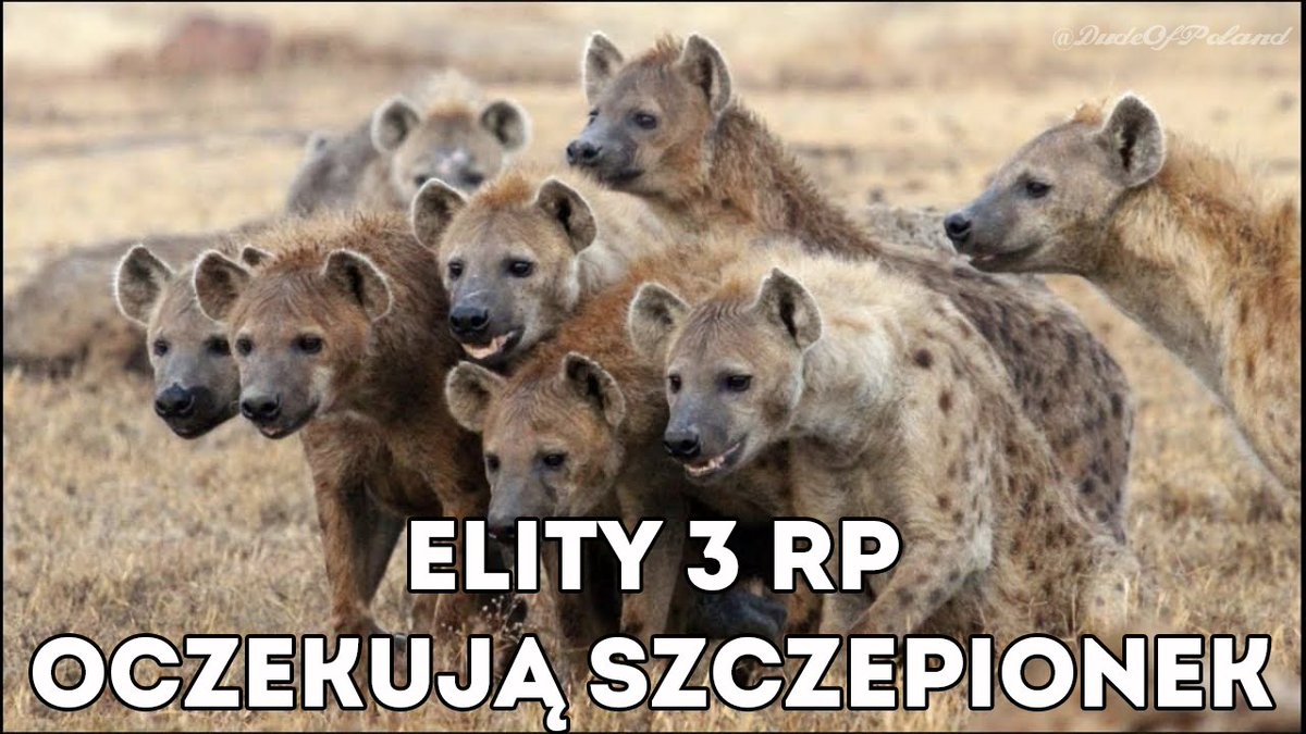 DudeOfPoland's tweet photo. @tvn24 Podli egoiści: #janda #materna #seweryn #miszczak #zborowski #bajor #miller #walter #pazura 🤮
#aferaszczepionkowa #WUM https://t.co/GOowMpaNJK