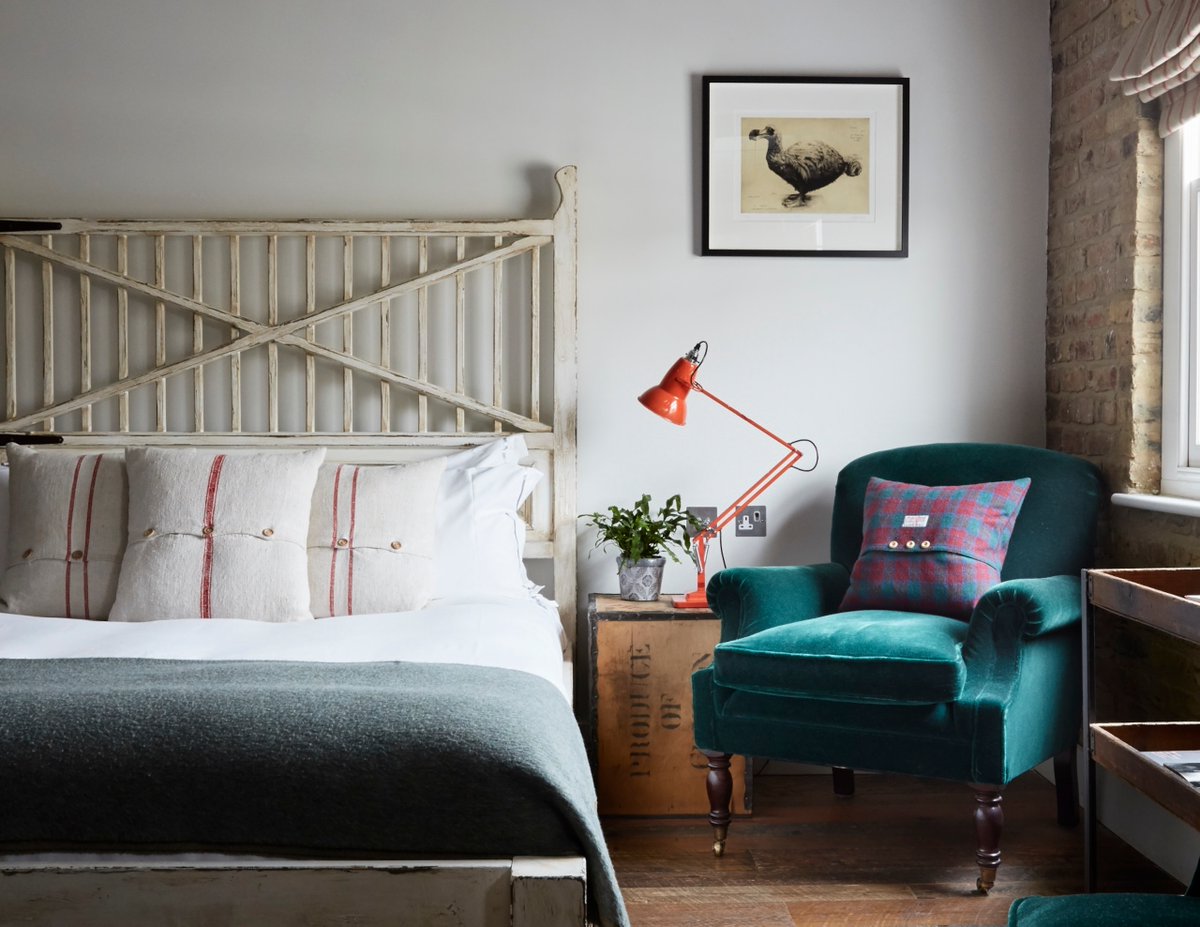 The colour of this immaculate Dahl Chair ⁠is simply divine. The piece is upholstered in our Mohair Teal⁠ and creates a fun and artsy look in this @artistresidence bedroom.⁠
#georgesmithfurniture⁠ #artistresidence⁠
georgesmith.com/interior-desig…