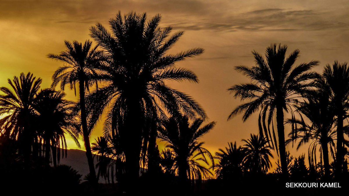 KSekkouri's tweet photo. #photography #photoshoot #Tiout
@1923star @pic_mo @grantpalmerpotd https://t.co/MRp8gQbids