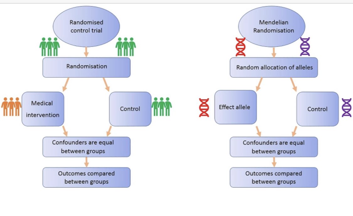 hvanspall's tweet photo. 🔥review of #MendelianRandomization
- type of #instrumentalvariableanalysis
- less prone to confounding, reverse causation, measurement error than observ’l data
- provides evidence of effect but cant establish causality on own
https://t.co/NrFQv9DbOr
Fig https://t.co/cP63WQg2RJ https://t.co/MfAm5dbXwh