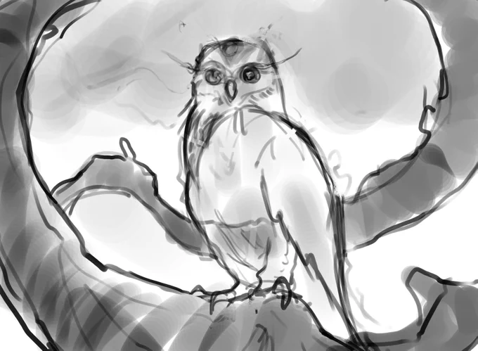 Here are my sketches for this handsome beast. LOVE AN OWL. 