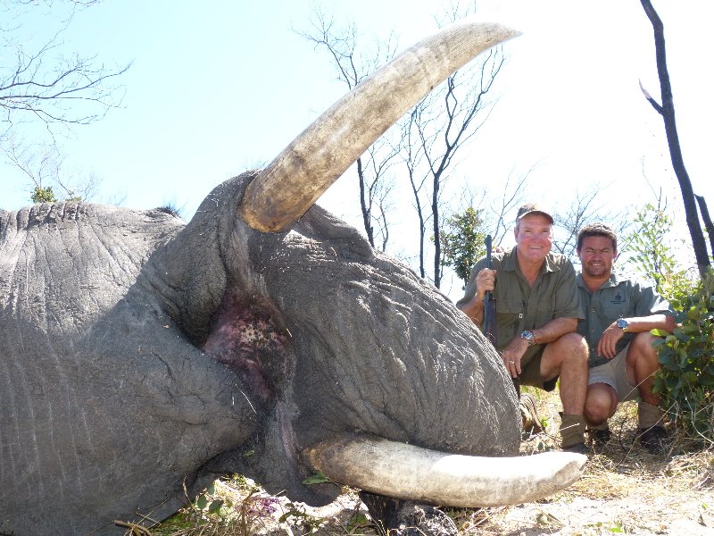 Protect_Wldlife's tweet photo. Trophy cunter Dan Burkes kneels proudly beside a beautiful Elephant that he has MURDERED. 🤬🤬 @RickyGervais https://t.co/wOewwrZz3U