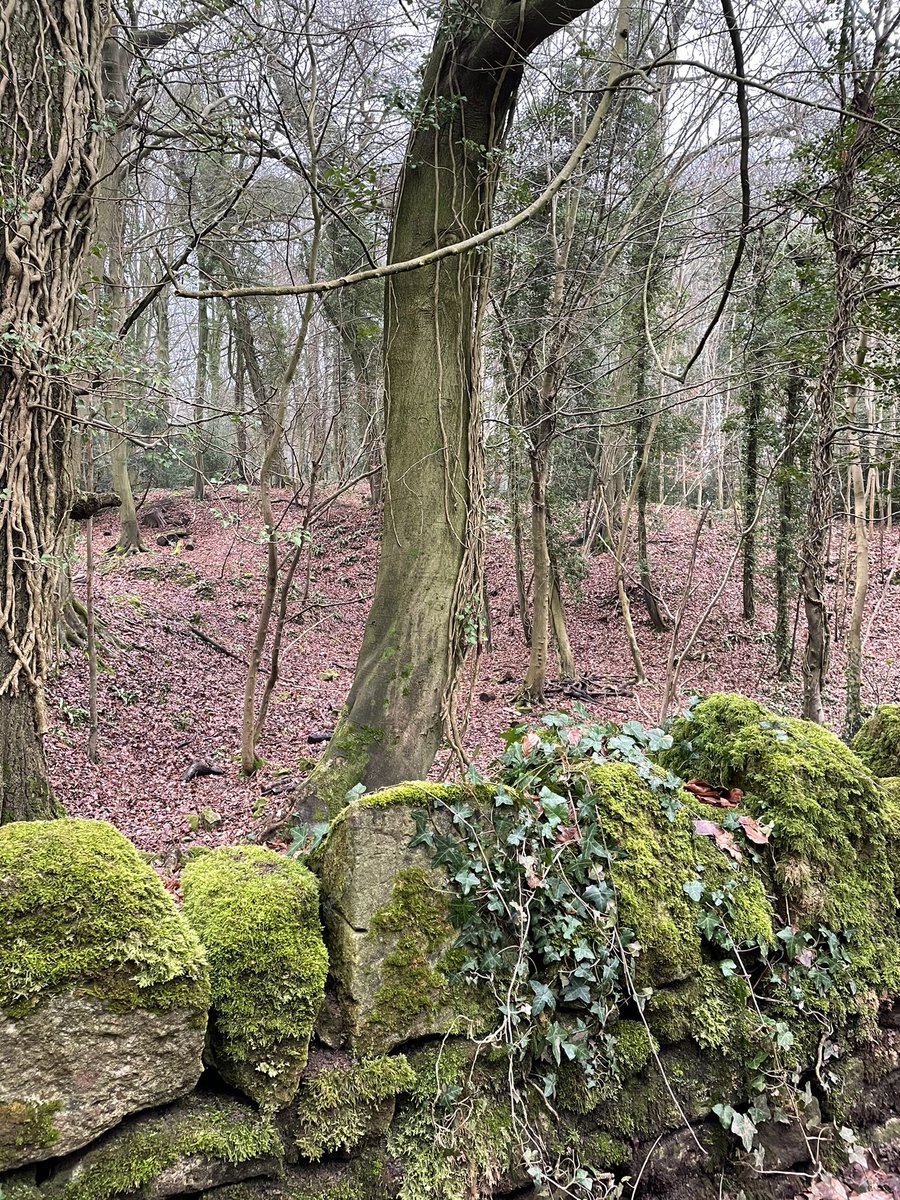 SarahfromBath's tweet photo. 10 miles from Camden, to Rainbow Woods, Monkton and back home along the canal. Super lucky to have access to all of this on my doorstep. It’s tough. Fresh air & walking hugely helps. #bathuk #onewalkaday #MentalHealthMatters #Lockdown3 https://t.co/KMTgngBo7s