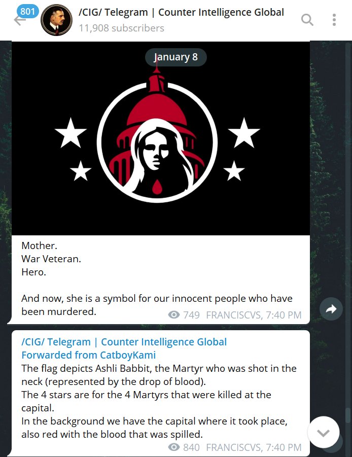 I'm also seeing a new symbol spread across various far right groups, depicting Babbitt as a "martyr." Here's my thread covering the Far Right's initial online reaction to the Jan 6th failed siege. CW: Blood/Nazis- https://twitter.com/hungrybowtie/status/1346972281336000514?s=20