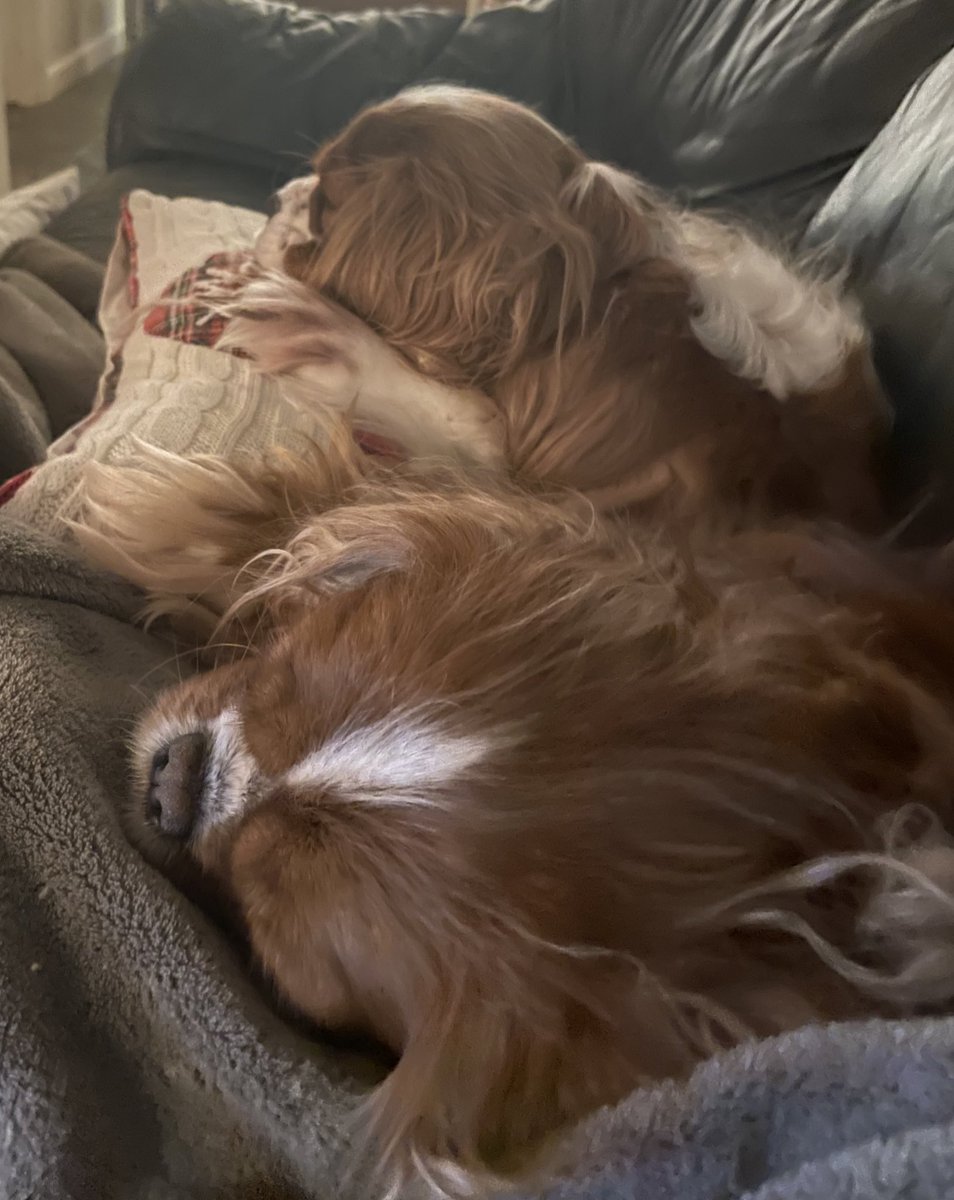 Kurt Lucas, MD (blue check) tweet media