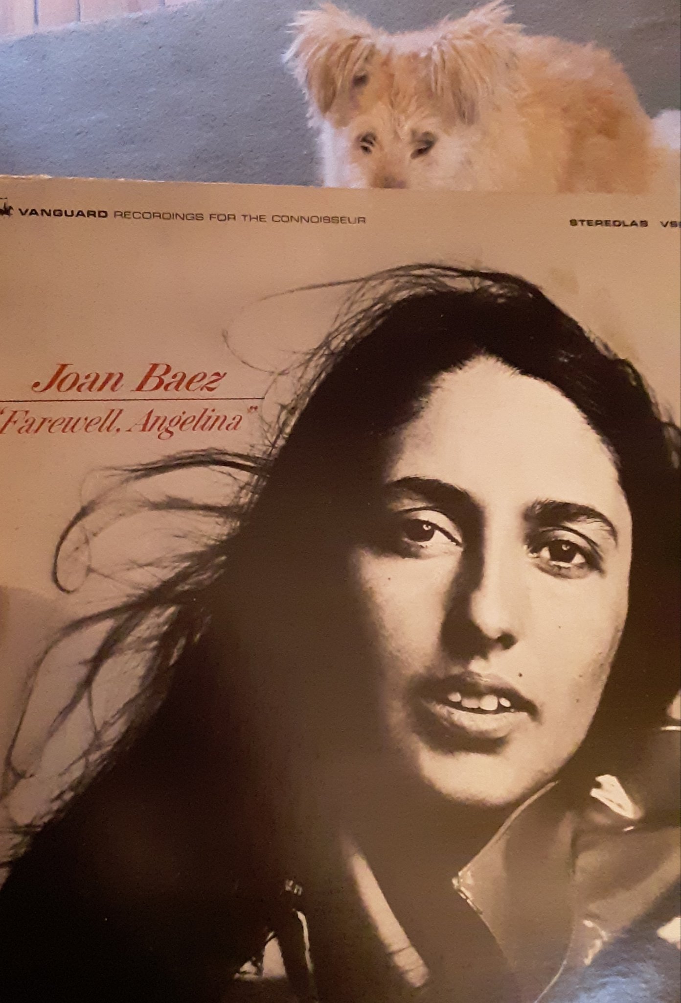 A happy 80th birthday to Joan Baez. Here\s a record that\s been in my family longer than I have 