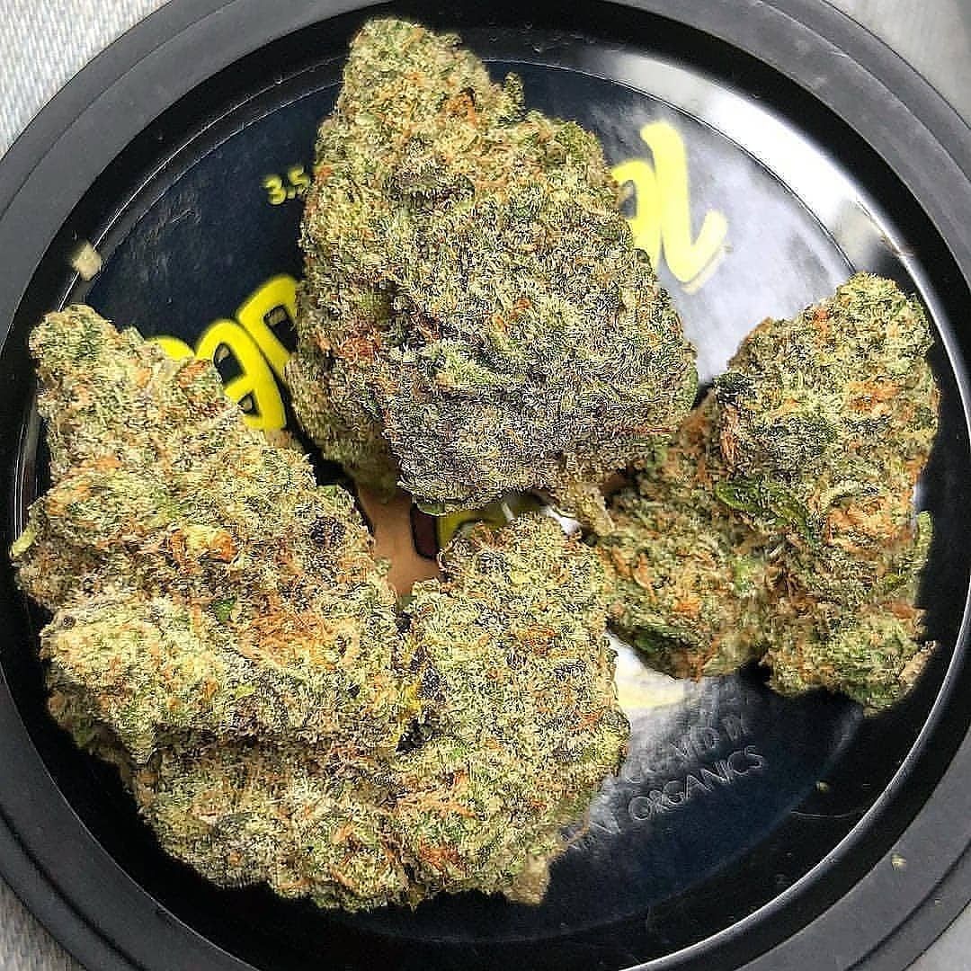 Amoy Gray (@amoygray420) on Twitter photo 