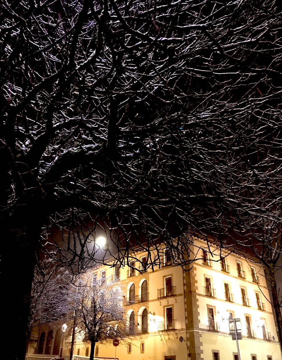 JoxeMSantamaria's tweet photo. ☃️#Filimena iritsi zaigu.               ❄️                                                      Ha llegado #Filomena https://t.co/mBeSrF0LAQ