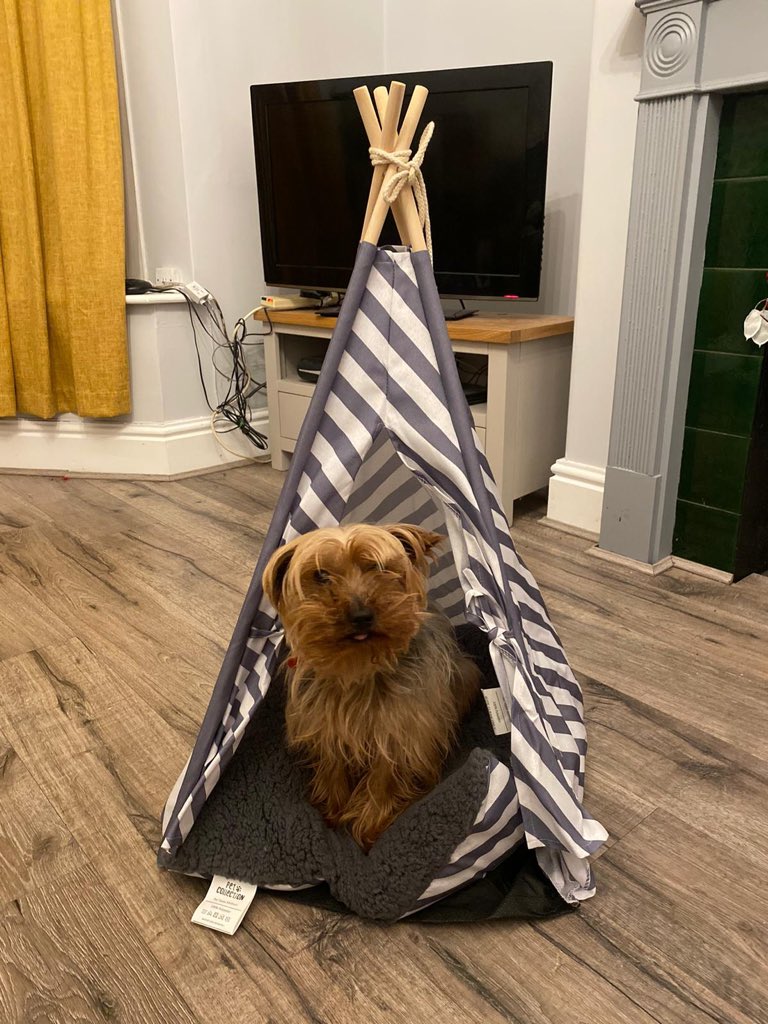 This is what happens when you go to Aldi for cheese