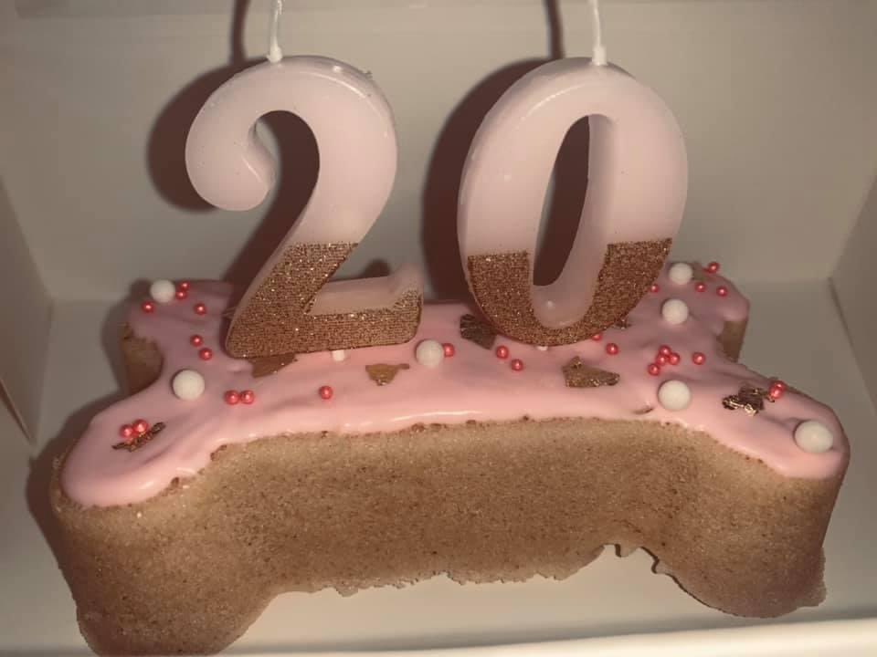 maceeeggers6's tweet photo. put an order in today for a doggie birthday cake, cake pops, or even donuts ! 🍩🧁💞 https://t.co/KfZWT9saii
