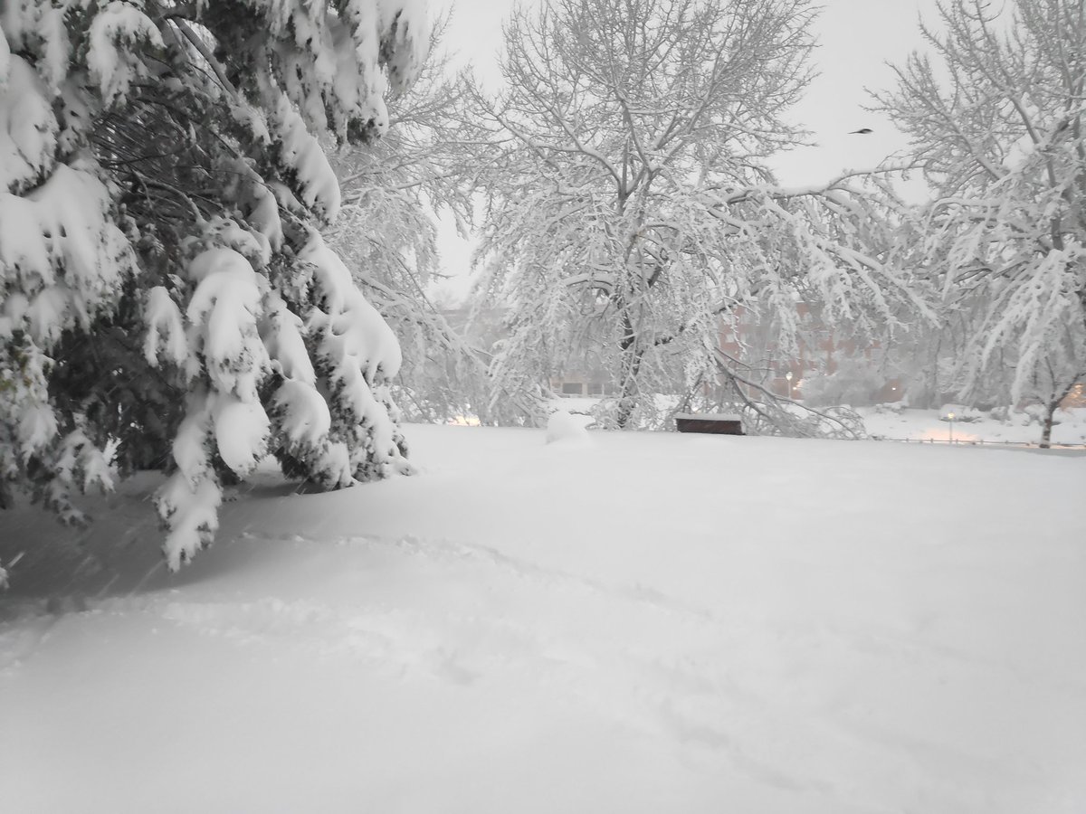 aroka83's tweet photo. @MeteoValdemoro Buen trabajo,unas fotos de parque España de Valdemoro https://t.co/EAGSL9eUvm
