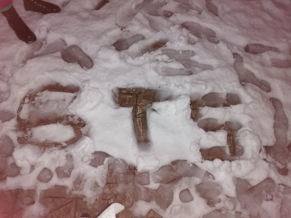 Lucia tweet media