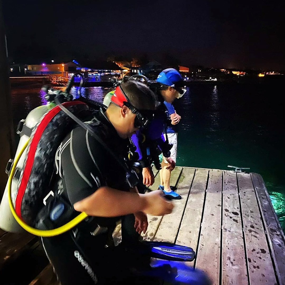 divivacation's tweet photo. #QuestionoftheDay
Have you ever done a night dive?
📸 Thanks AJ Fussalva
#diviresorts #DiviQuestionoftheDay #diviflamingo #bonaire #dividivebonaire #divebonaire #dive #nightdive #aruba #barbados #stmaarten #sxm #caribbean #diving #scubadiving #scuba #ocean #sea #stcroix https://t.co/hW0Uj5Vprv