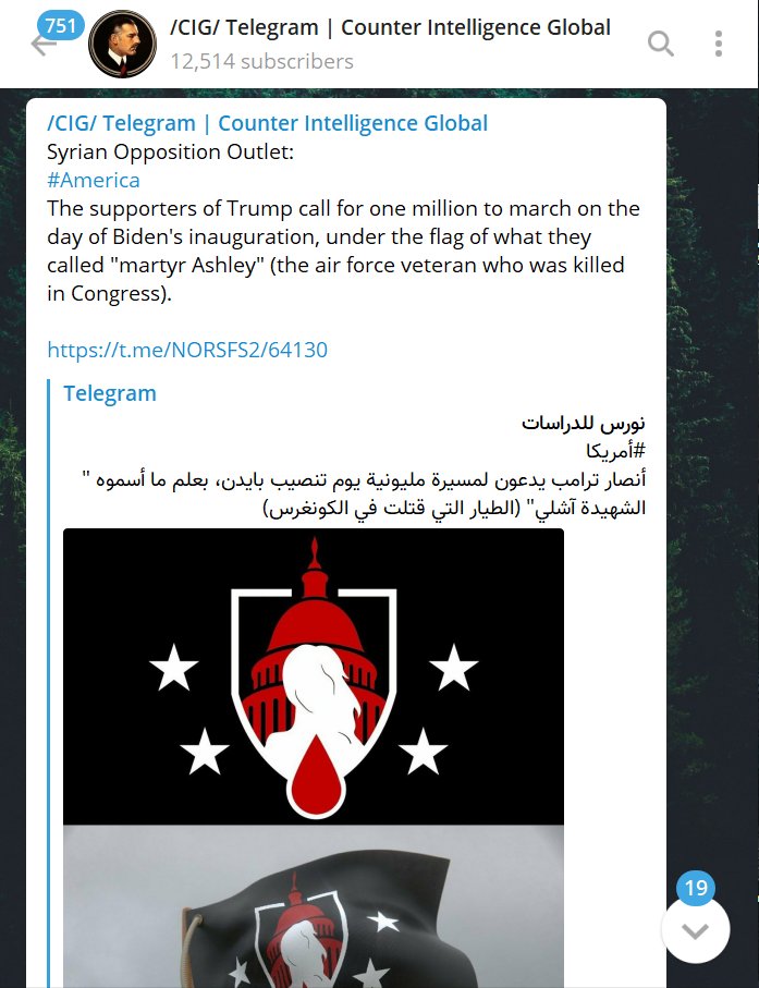 The symbol has gone international. The flag was shared in a Syrian telegram channel, as well as boosting the call for the "Million Militia March" on the day of Biden's inauguration.