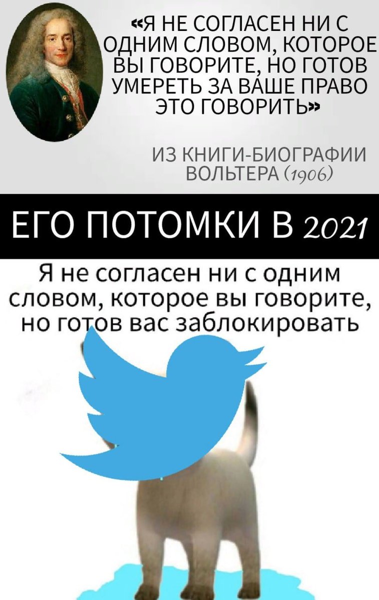 Гриб?Павук! (@not_like_shroom) on Twitter photo 