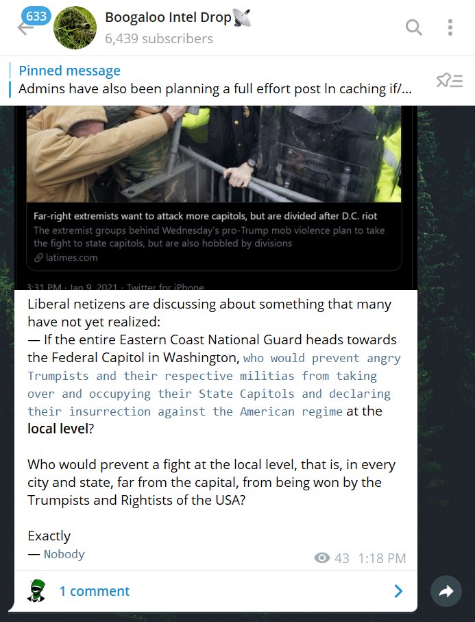A Boogaloo channel is sharing plans and ideas for Jan 20th. Part of the post- "If the entire Eastern Coast National Guard heads towards [DC], who would prevent angry Trumpists and their respective militias from taking over and occupying their State Capitols at the local level."