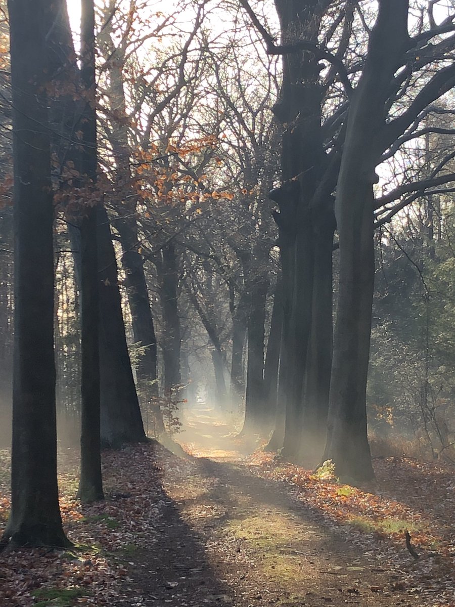 Heerlijk gewandeld op een prachtige winterdag #regteheide