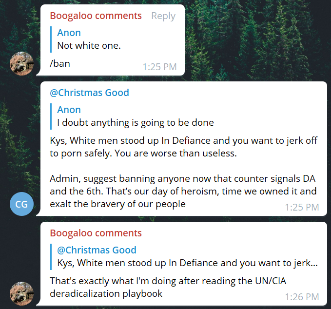 Here's some of discussion about the idea of "declaringtheir insurrection against the American regime at thelocal level" at State Capitols on Jan 20th, instead of all being in DC."If you dont leave the politicians alive, you cant get charged as terrorist!" -Gas (((Them)))