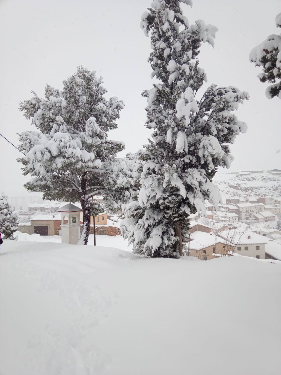 Sergi Mister tweet media