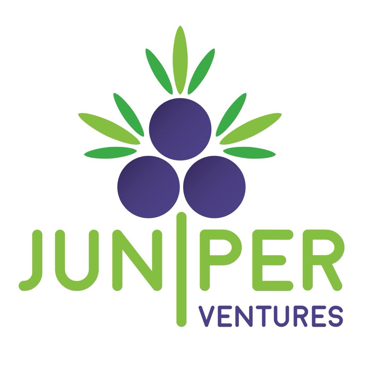 JuniperVentures's tweet photo. Thanks to all our @JuniperVentures #SchoolMeals #Cleaning teams who have adapted to the ever changing plans for schools &amp; public buildings this week.We have received amazing feedback from our customers.Well done #teamJuniper you are amazing! #schoolclosures #honestlydifferent https://t.co/laOIuikJ2g