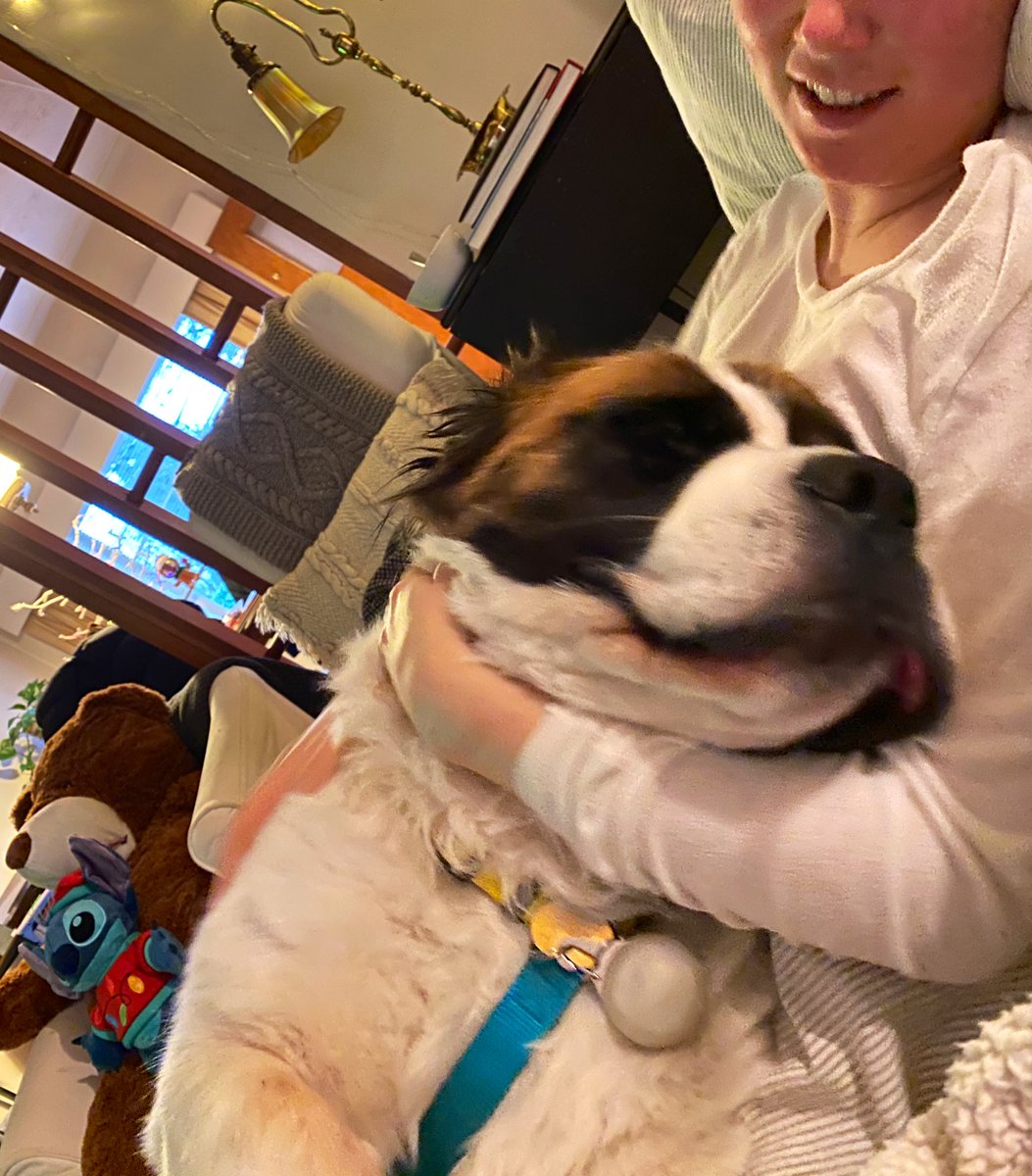 collectednomad's tweet photo. As much as I knew my life would change when I became a dog owner, I never would have anticipated the amount of self-care it’s taught me too. 🥺 very grateful to take care of me &amp; my girl and to feel so accomplished whilst doing so 🥺 https://t.co/JzIkvMmqSS