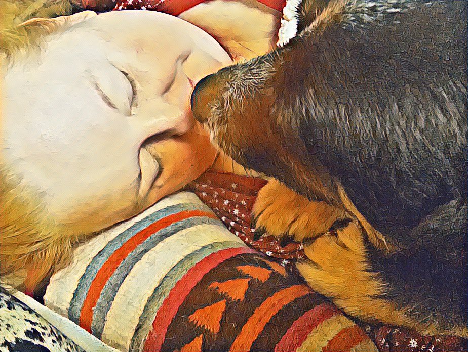 MooManBleu's tweet photo. Enjoying a #SaturdayAfternoon on this cold #wintersday with mom ...getting some #couchcuddles https://t.co/7CKR35G5Gh