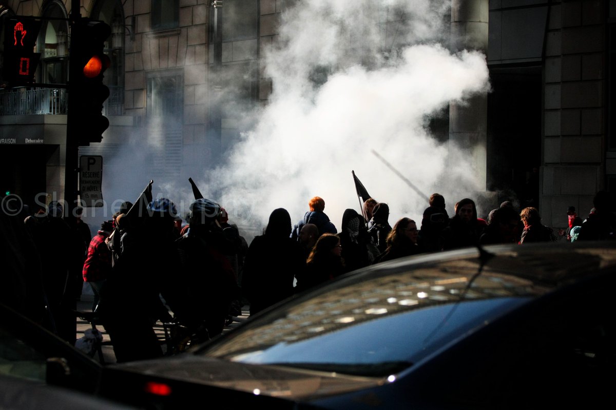 The goal of this is to get away with criminal acts, to turn a peaceful demonstration into a riot, to *incite* a riot, to have police pursue false arrests, and to 'strike at the heart of the system' in an anti-capitalist mentality.This is all spoken from experience - not a book.