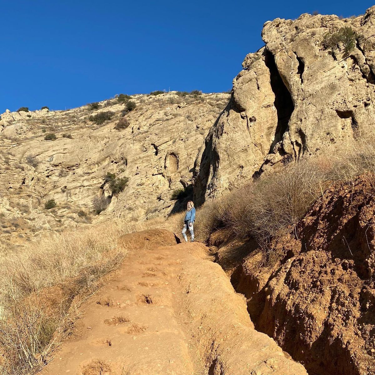 MalorieMackey's tweet photo. Finally out of quarantine this morning and out on a hike for @weirdworldventr pickups!! 💁🏼‍♀️#maloriemackey #maloriesadventures #weirdworldadventures #hiking #hikingadventures #caveofmunits #nature https://t.co/AwujnZYEOb
