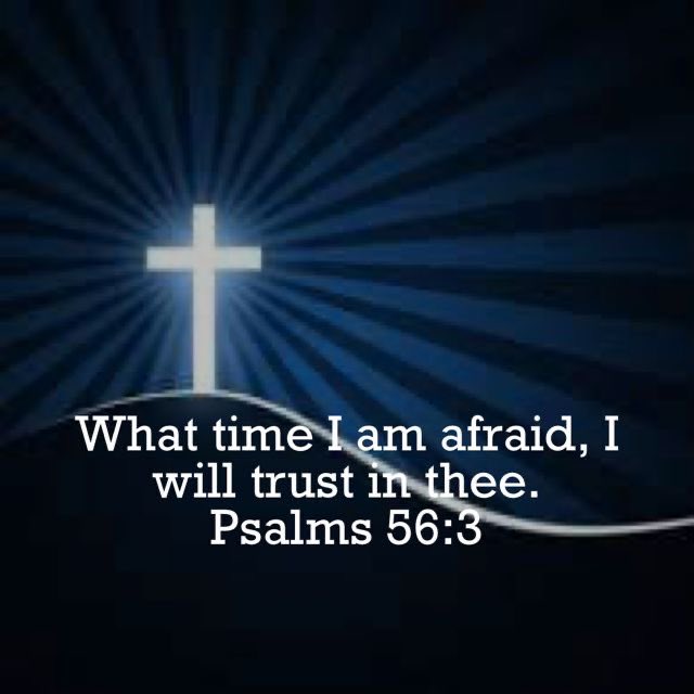 🕊Kristia🕊 tweet media