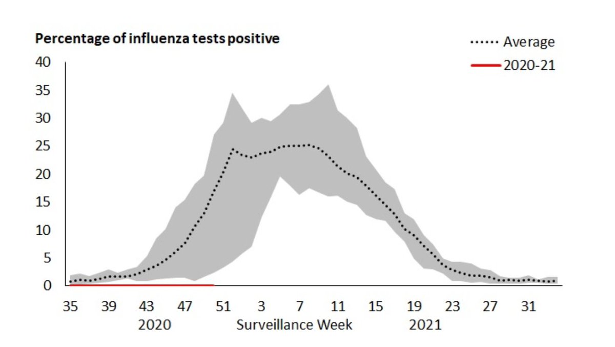 2/ The flu is completely gone, despite above avg testing for it. If we have no flu then its safe to say our hospitals aren't being burdened with those patients.